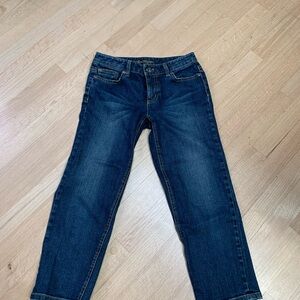 Ann Taylor size 2 Modern Fit Lindsey